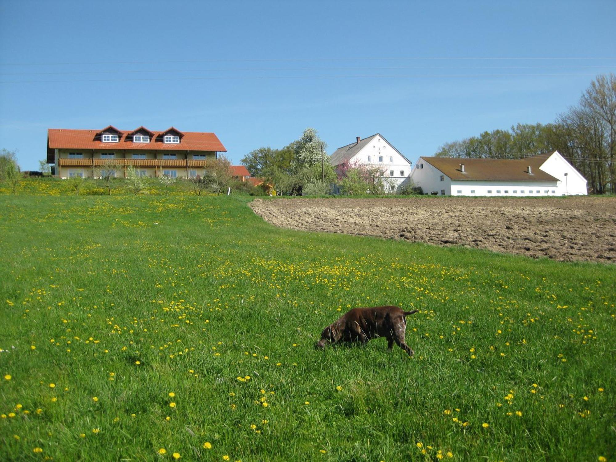Ferienhof Rieger Rotthalmuenster Exteriör bild